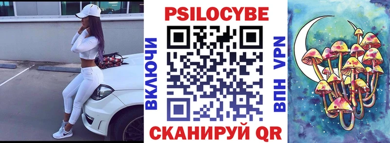 где продают наркотики  Нестеровская  Псилоцибиновые грибы MAGIC MUSHROOMS 